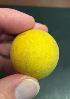 Flying Dragon Hardy Orange Tree - 7 Gallon Pot (5-6') (COPY) -Breeze Sprout Sales Orange Flying Dragon 6 1