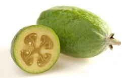 Pineapple Guava - Feijoa Sellowiana - 3 Gallon Pot -Breeze Sprout Sales Pineapple Guava Fruit 1