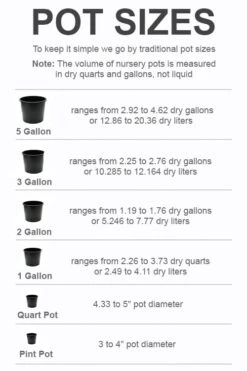 Breeze Sprout Sales -Breeze Sprout Sales pot size chart 2022 755